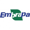 Logo da Embrapa 