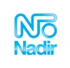 Logo da Nadir Figueiredo 